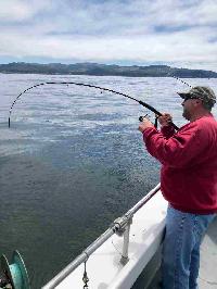 Whale Watching Depoe Bay FISH ON STEPHAN!