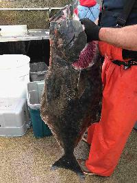 Whale Watching Depoe Bay 