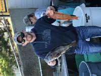 Whale Watching Depoe Bay 