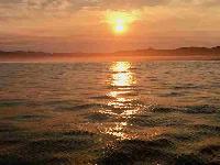 Whale Watching Depoe Bay 