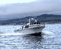 Whale Watching Depoe Bay 