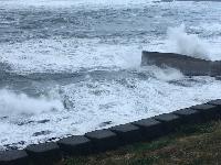 Whale Watching Depoe Bay 