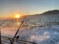 Whale Watching Depoe Bay 