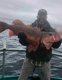 Whale Watching Depoe Bay 