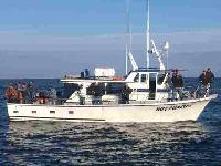 Whale Watching Depoe Bay 