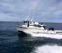 Whale Watching Depoe Bay 