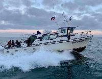 Whale Watching Depoe Bay 