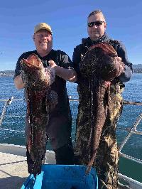 Whale Watching Depoe Bay 