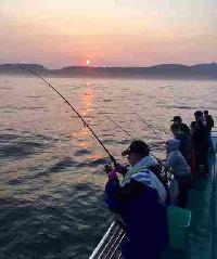 Whale Watching Depoe Bay 