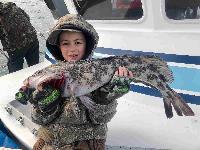 Whale Watching Depoe Bay 