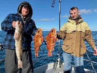 Whale Watching Depoe Bay 