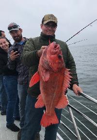 Whale Watching Depoe Bay Vermillion Rockfish