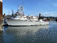 Whale Watching Depoe Bay 