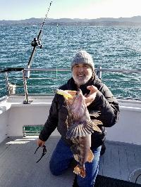 Whale Watching Depoe Bay 