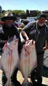 Whale Watching Depoe Bay Endevor June 21 2013 captain Ken Peterson 