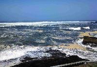 Whale Watching Depoe Bay Good Day to be Ashore