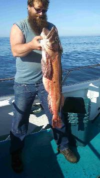 Whale Watching Depoe Bay 