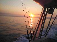 Whale Watching Depoe Bay Headed Offshore