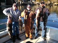 Whale Watching Depoe Bay 