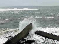 Whale Watching Depoe Bay 