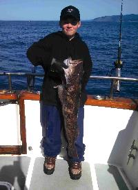 Whale Watching Depoe Bay 