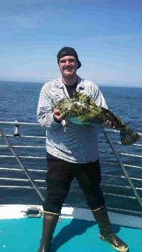 Whale Watching Depoe Bay 