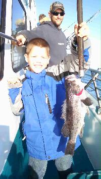 Whale Watching Depoe Bay 