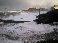 Whale Watching Depoe Bay 