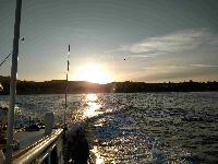 Whale Watching Depoe Bay 