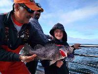 Whale Watching Depoe Bay 