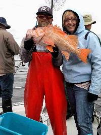 Whale Watching Depoe Bay 