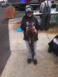 Whale Watching Depoe Bay 