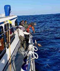 Whale Watching Depoe Bay 