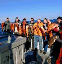 Whale Watching Depoe Bay 