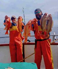 Whale Watching Depoe Bay 