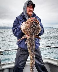 Whale Watching Depoe Bay 