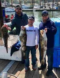 Whale Watching Depoe Bay 