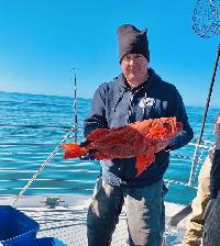 Whale Watching Depoe Bay 