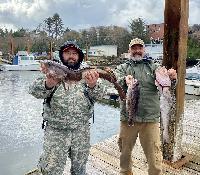 Whale Watching Depoe Bay 