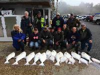 Whale Watching Depoe Bay 