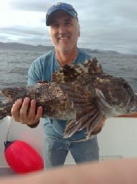 Whale Watching Depoe Bay 