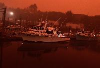 Whale Watching Depoe Bay WILDFIRE SMOKE 10 AM