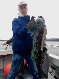 Whale Watching Depoe Bay 