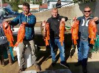 Whale Watching Depoe Bay 