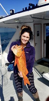 Whale Watching Depoe Bay 