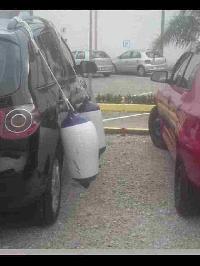 Whale Watching Depoe Bay 