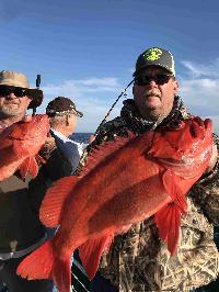 Whale Watching Depoe Bay 