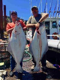 Whale Watching Depoe Bay 