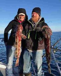 Whale Watching Depoe Bay 