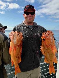 Whale Watching Depoe Bay 